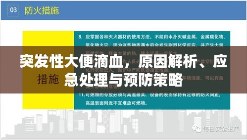 突发性大便滴血，原因解析、应急处理与预防策略